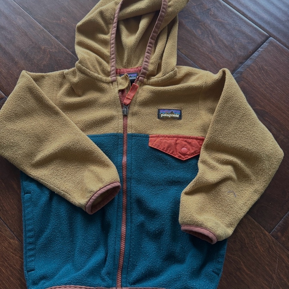 Patagonia Kids' Colorblock Fleece Hoodie